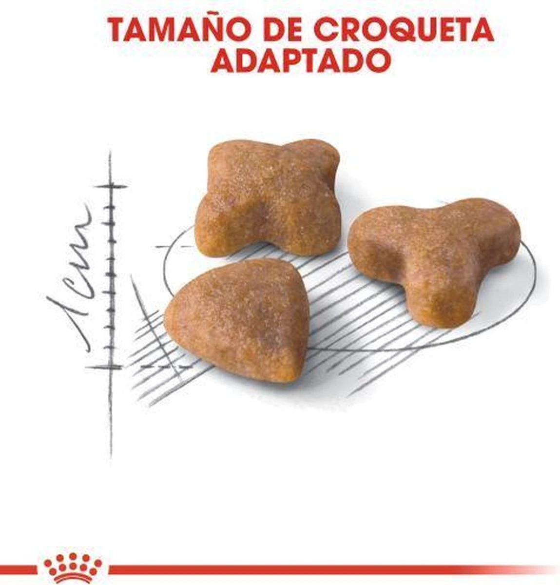 Royal Canin Sensible 33 - Kattenvoer - 10+2 Kg Bonusbag - Afbeelding 6