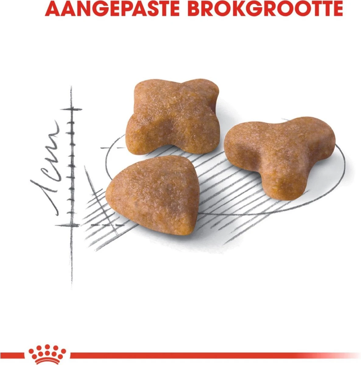 Royal Canin Sensible 33 - Kattenvoer - 10+2 Kg Bonusbag - Afbeelding 5