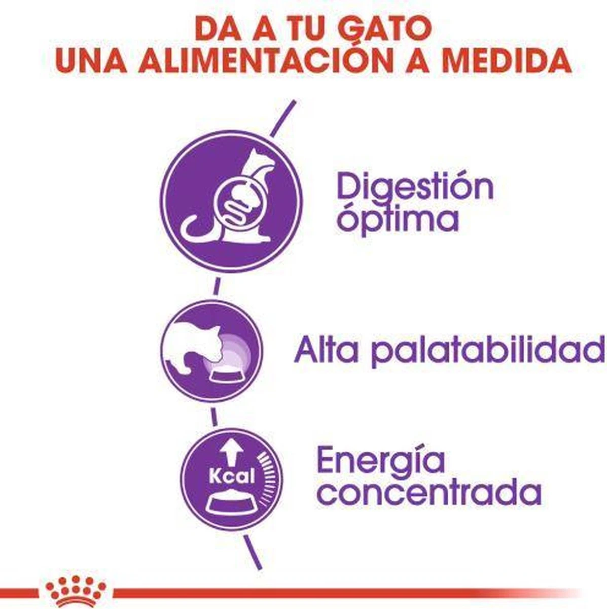 Royal Canin Sensible 33 - Kattenvoer - 10+2 Kg Bonusbag - Afbeelding 4