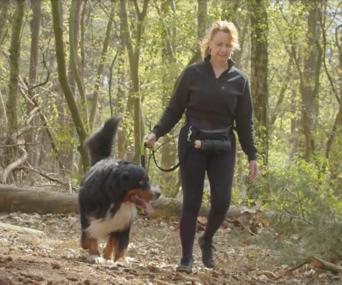 Canicross Looplijn Hond Met Heupriem Voor Hardlopen - Elastische Handsfree Hondenriem - Honden Trainingslijn - 150/200cm - Grijs - Afbeelding 2