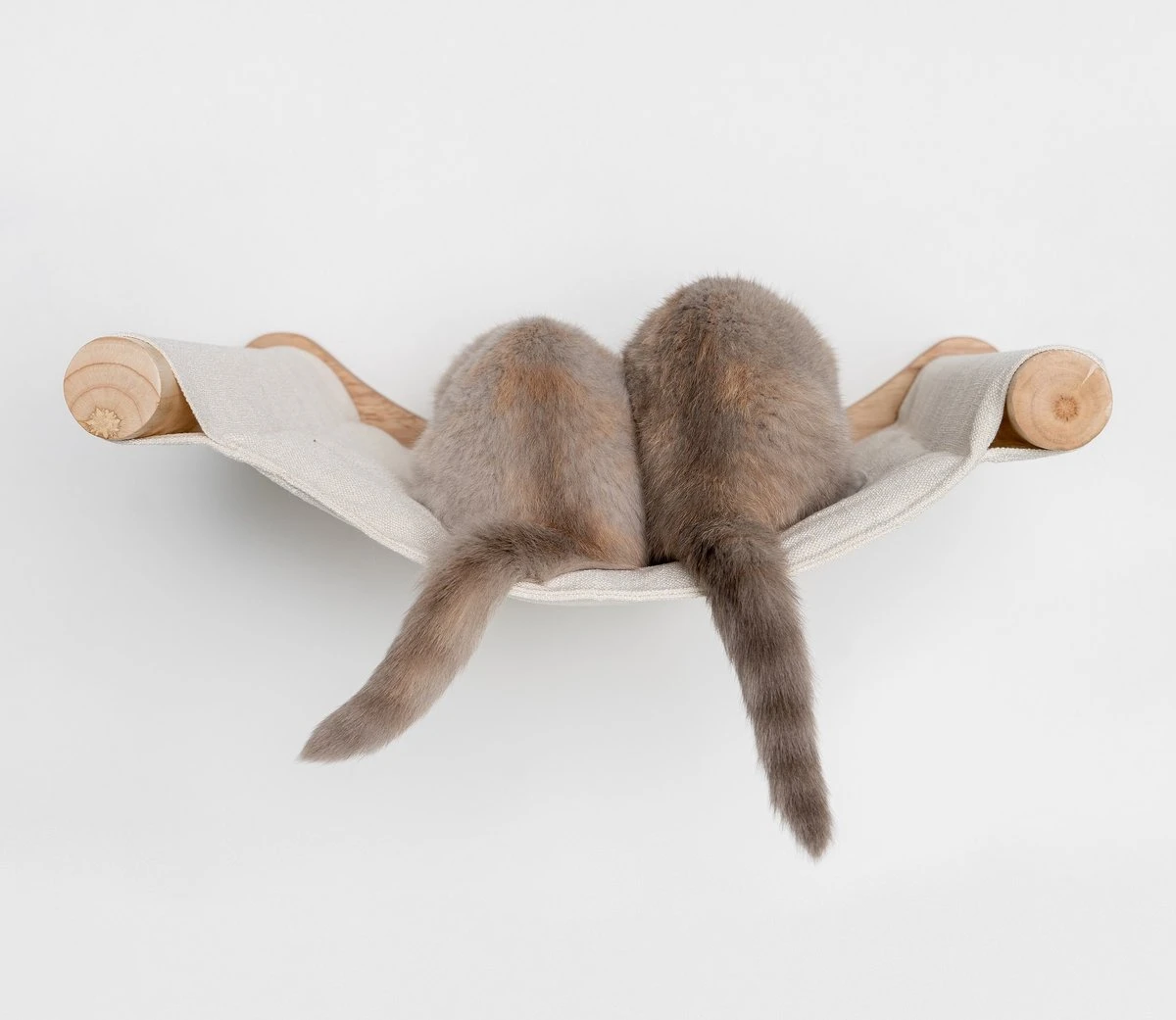 RHRQuality Wandmeubel Wandmontage Klimmuur Kat 53 X 43cm Luxe Hangmat XXL Creme Klim Wand Muur Krabpaal Katten Muurbevestiging - Afbeelding 7