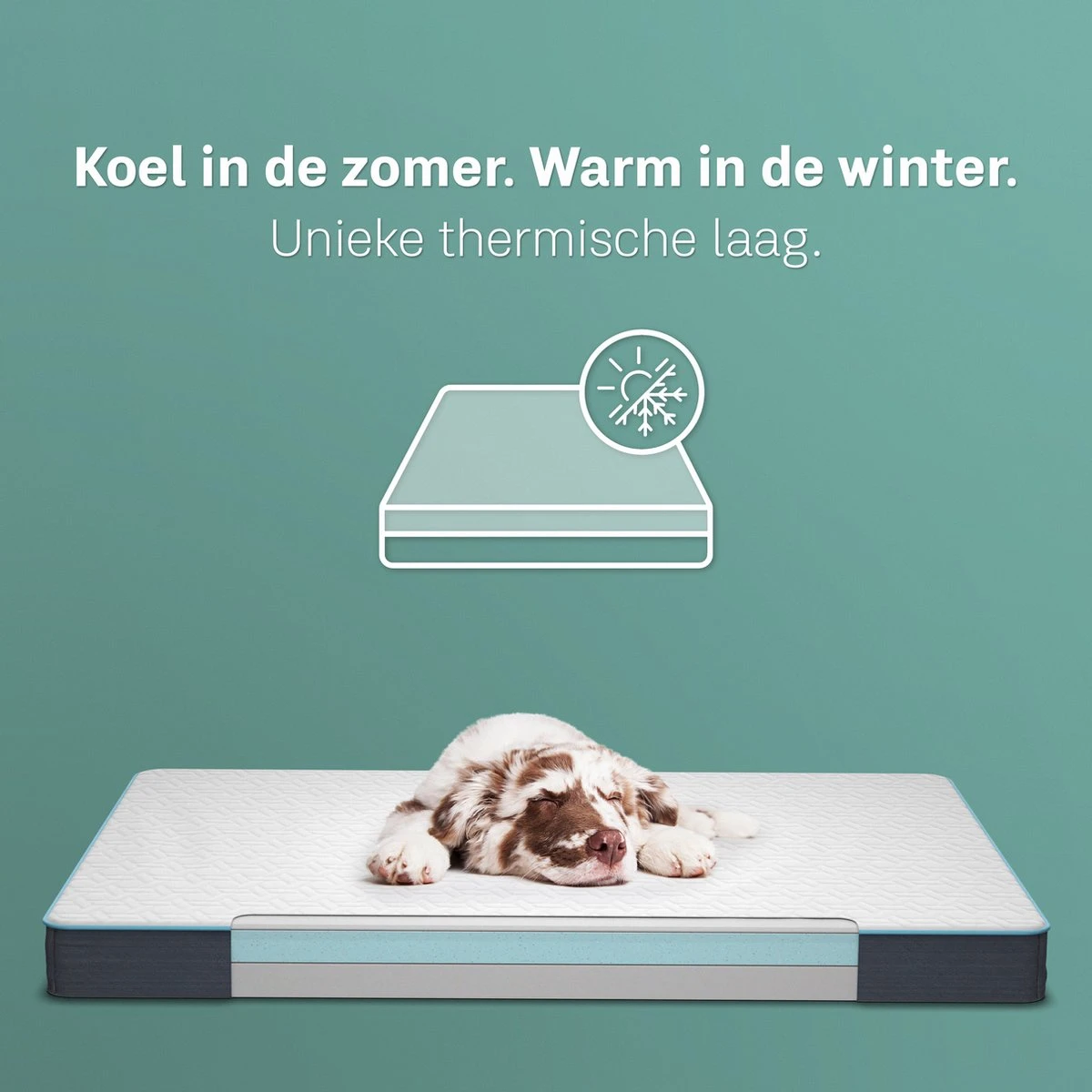 CozySense® - Orthopedisch Hondenkussen - Hondenkussen 100 X 70 Cm - Geschikt Als Benchkussen & Hondenbed - Hondenkussen Bank - Traagschuim - Waterdicht - Wasbare Hoes - Maat XL - Afbeelding 4