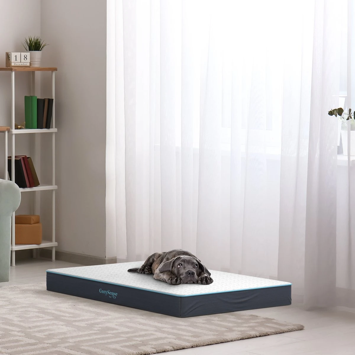 CozySense® - Orthopedisch Hondenkussen - Hondenkussen 100 X 70 Cm - Geschikt Als Benchkussen & Hondenbed - Hondenkussen Bank - Traagschuim - Waterdicht - Wasbare Hoes - Maat XL - Afbeelding 6