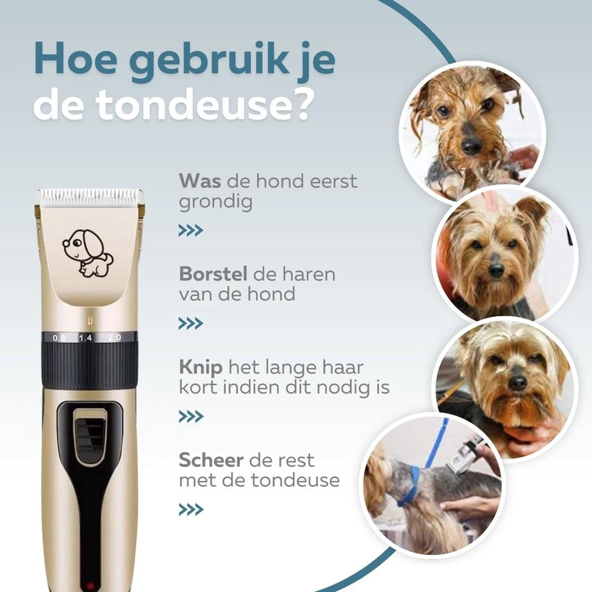 BYER Professionele Dieren Tondeuse Set - Voor Huisdieren Katten & Honden - Draadloos - Oplaadbare Pet Trimmer - Dog Tondeuze Clipper - 5 Standen & Vier Opzetkammen - Low Noise - Afbeelding 7