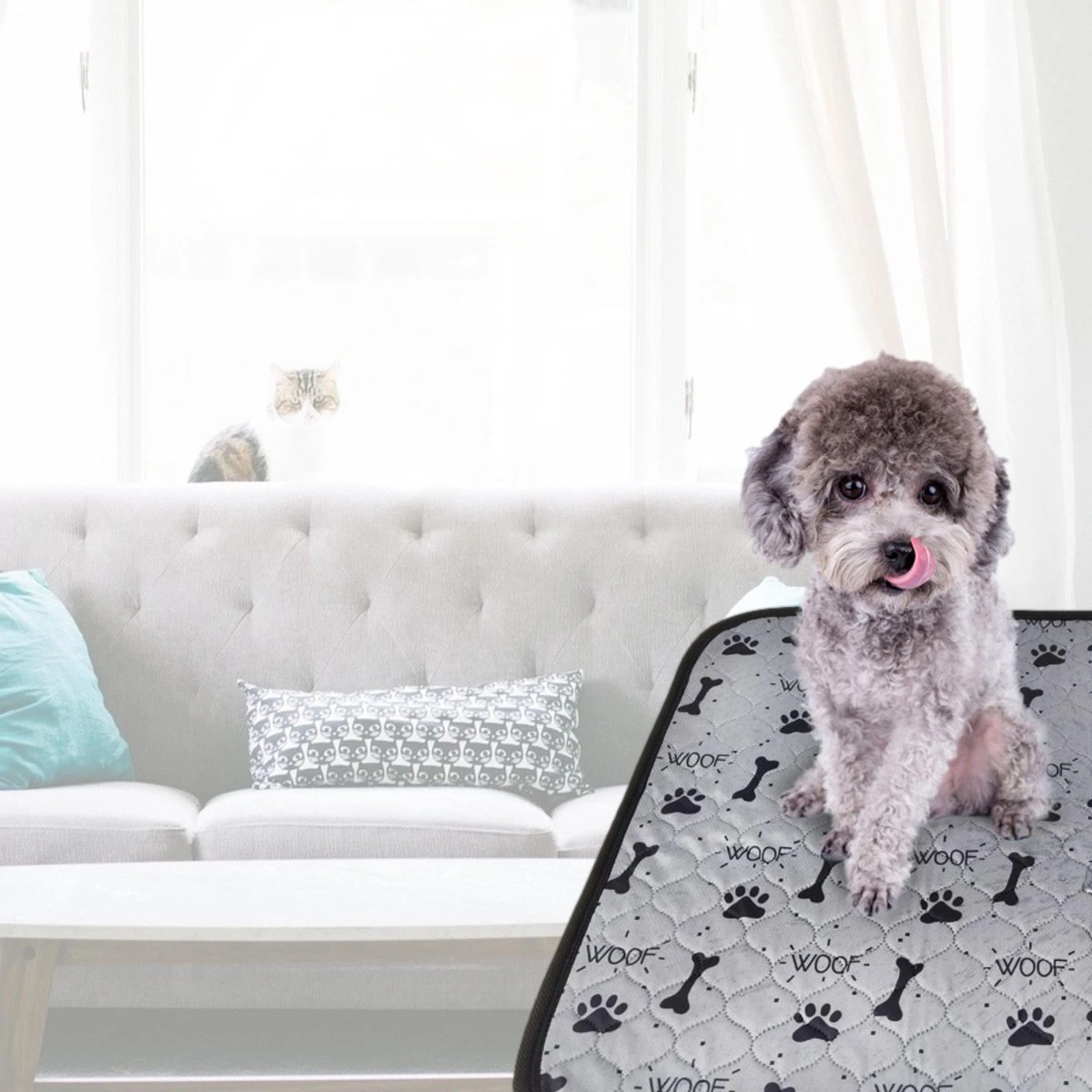 Jooba Puppy Training Pads - Wasbare Puppy Pads 2 Stuks - Hondentoilet - 70x50cm - Puppy - Afbeelding 8