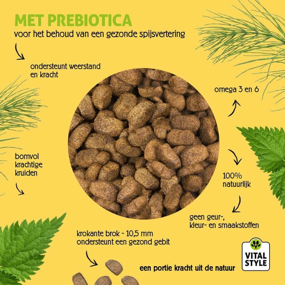 VITALstyle HUID+VACHT - Hondenbrokken - 12 Kg - Afbeelding 5