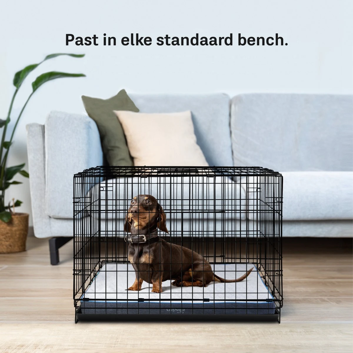 CozySense® - Orthopedisch Hondenkussen - Hondenkussen 60 X 40 Cm - Ook Geschikt Als Benchkussen & Hondenbed - Hondenkussen Bank - Traagschuim - Waterdicht - Wasbare Hoes - Maat S - Afbeelding 5