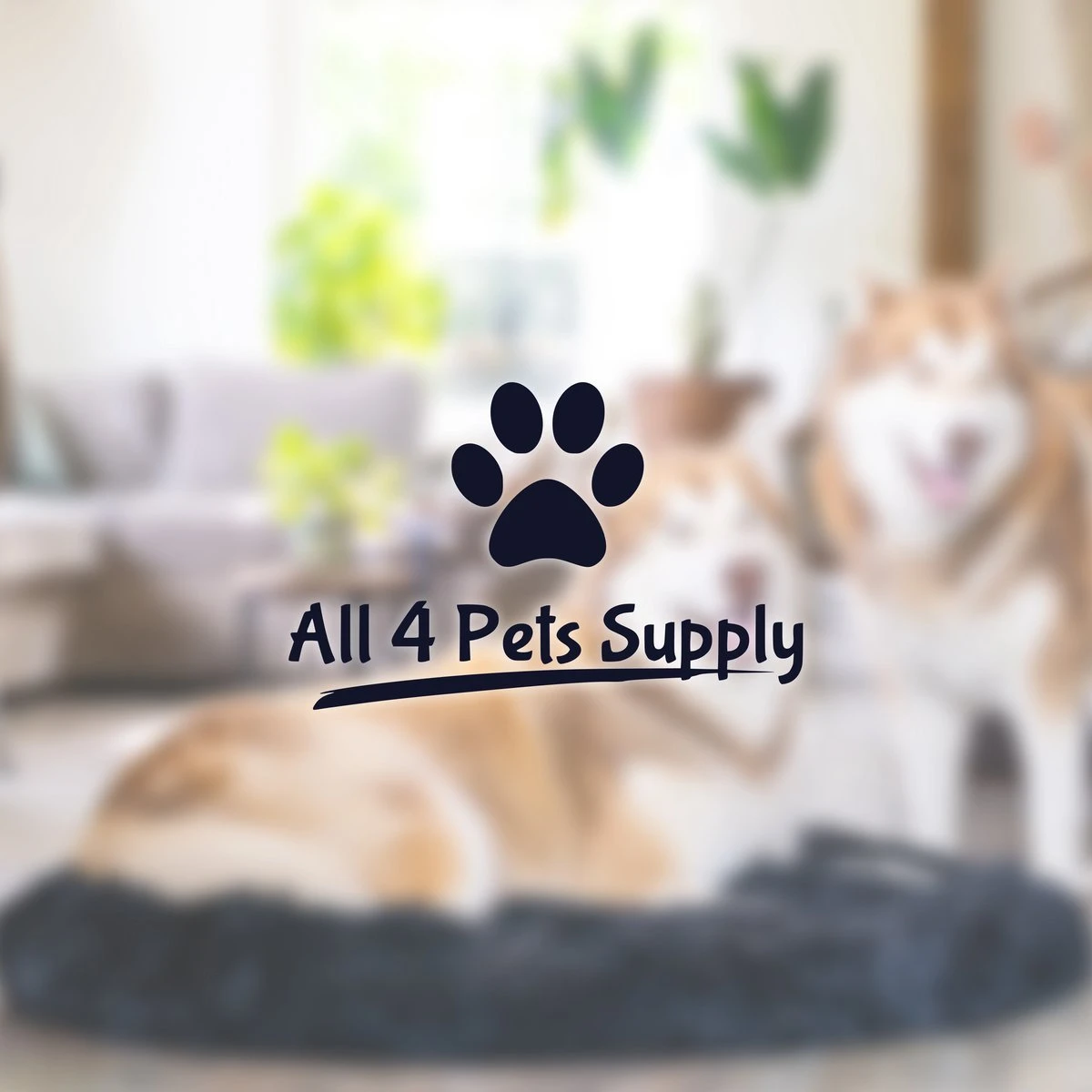 All 4 Pets Supply® Hondenmand Donut - Maat XL - Geschikt Voor Honden Tot 100 Cm - Hondenkussen - Zwart - Afbeelding 10