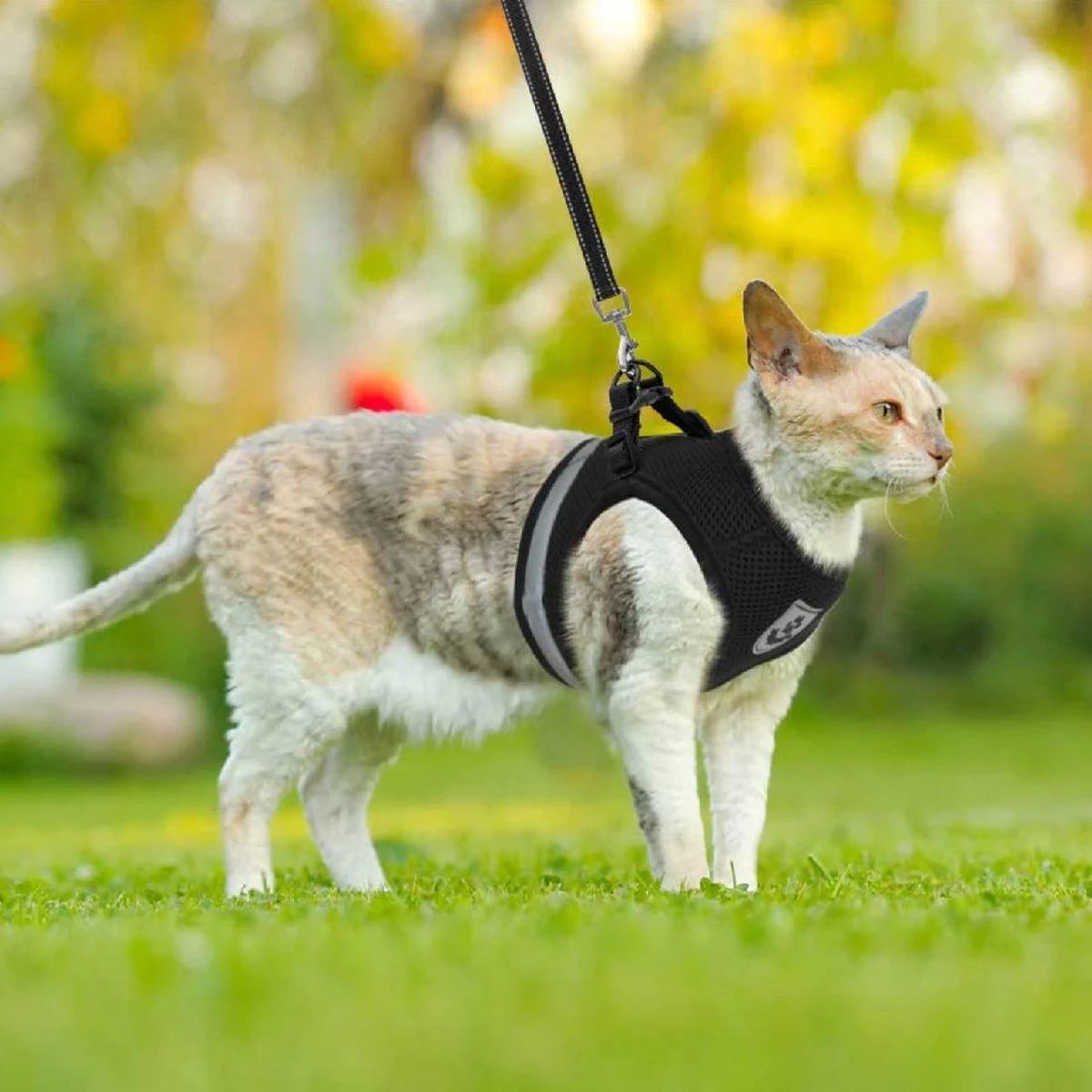 Merkloos Kattentuigje Met Looplijn | Zwart Kattenharnas | Easy Step In | Kattenriem | Kattenlijn | Kattentuig | Maat S - Afbeelding 7