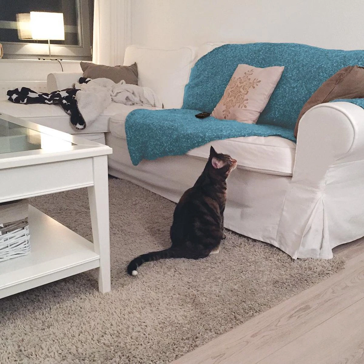 HG Tegen Urine Geur - 500 Ml - Effectief En Snel Resultaat - Neemt De Geur Definitief Weg - Afbeelding 3