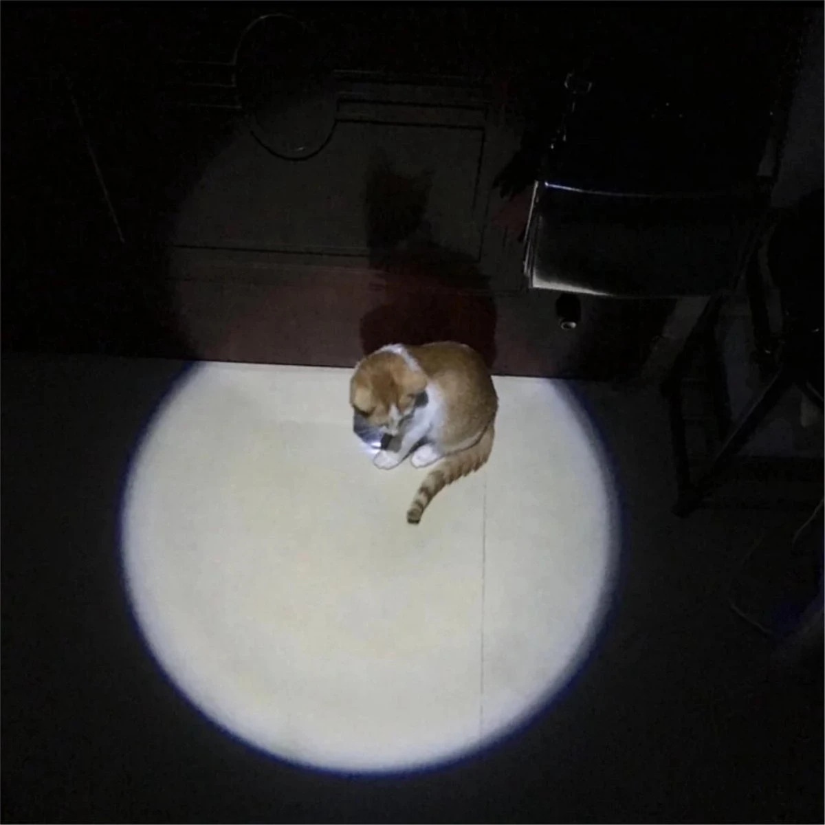 Merkloos Hoogwaardig Laserlampje Voor Katten | USB Oplaadbaar | 7 In 1 Laserpen | Laserpen | Zaklamp | Kattenspeeltje | Kattenspeelgoed | Zilver | Laserpointer Rood/groen | UV Licht - Afbeelding 7