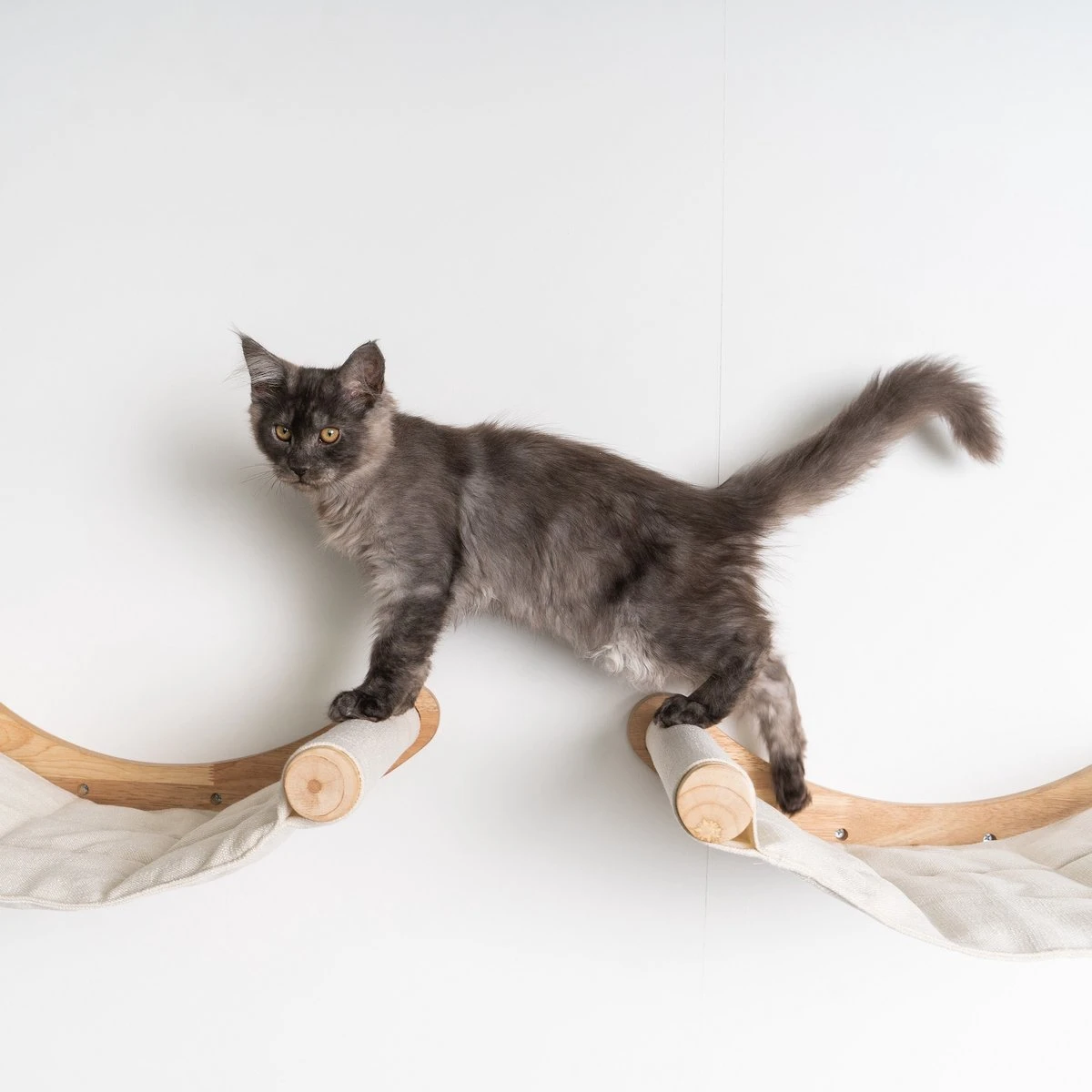 RHRQuality Wandmeubel Wandmontage Klimmuur Kat 53 X 43cm Luxe Hangmat XXL Creme Klim Wand Muur Krabpaal Katten Muurbevestiging - Afbeelding 4