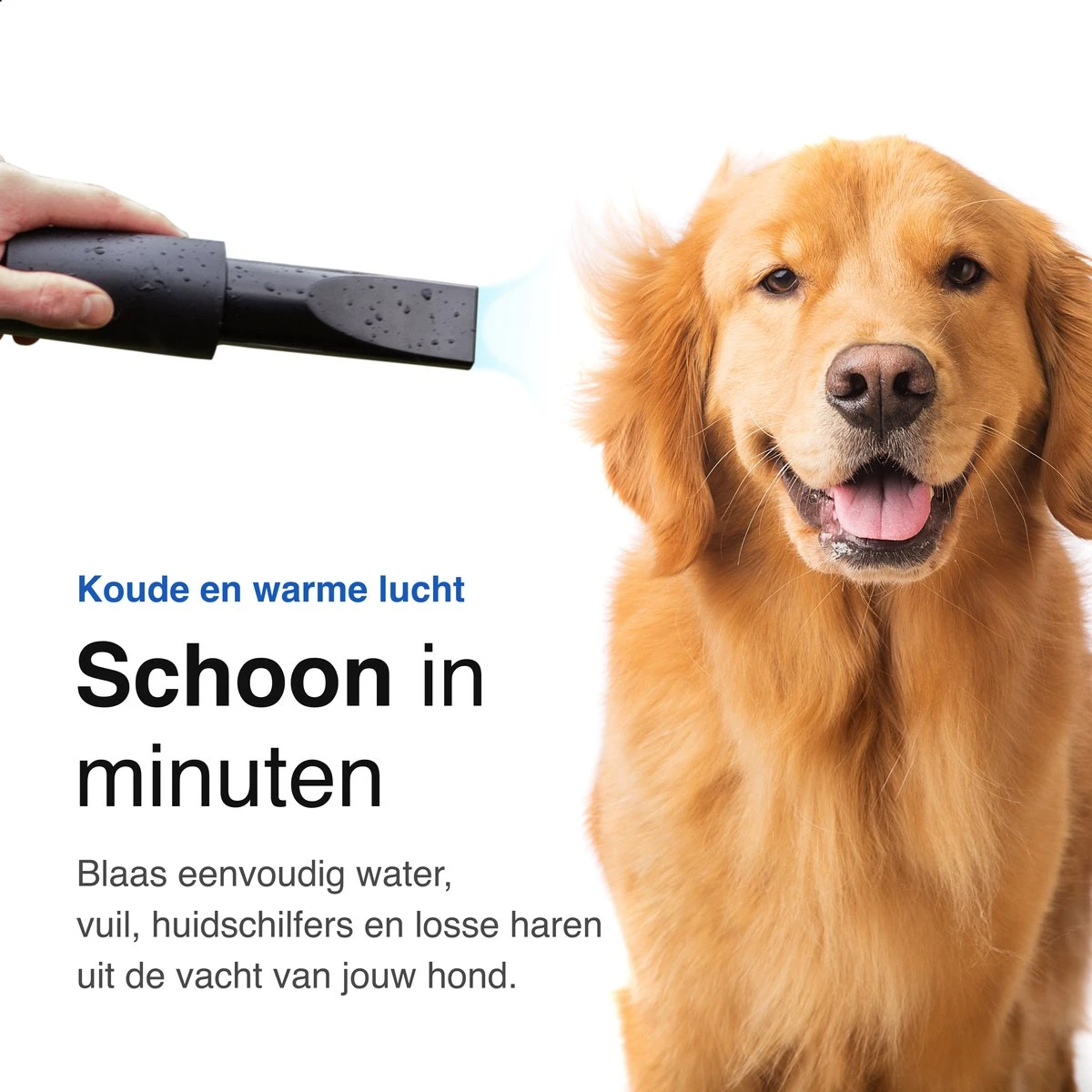 Vivid Green Waterblazer Met 3 Opzetstukken - Hondenfohn - Voor Honden - Met Geluiddemper - 2800W - Afbeelding 6