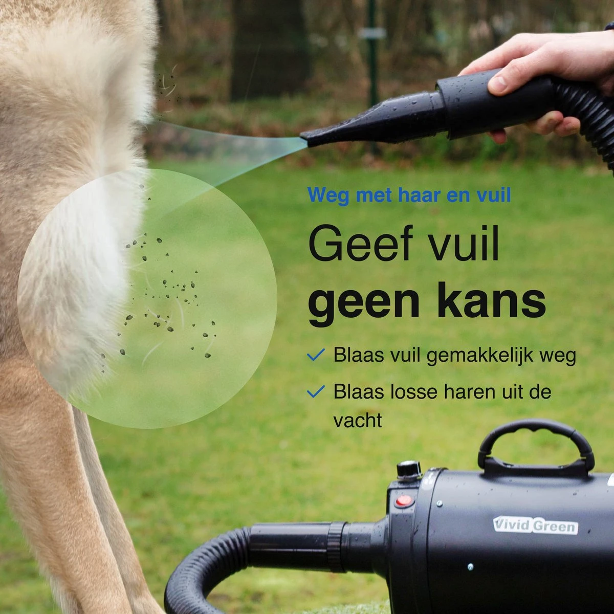 Vivid Green Waterblazer Met 3 Opzetstukken - Hondenfohn - Voor Honden - Met Geluiddemper - 2800W - Afbeelding 8
