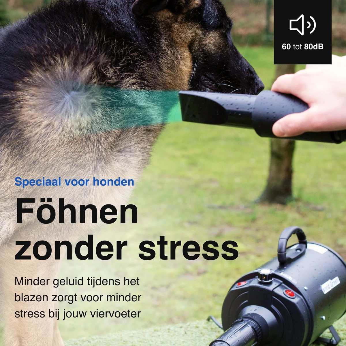 Vivid Green Waterblazer Met 3 Opzetstukken - Hondenfohn - Voor Honden - Met Geluiddemper - 2800W - Afbeelding 9