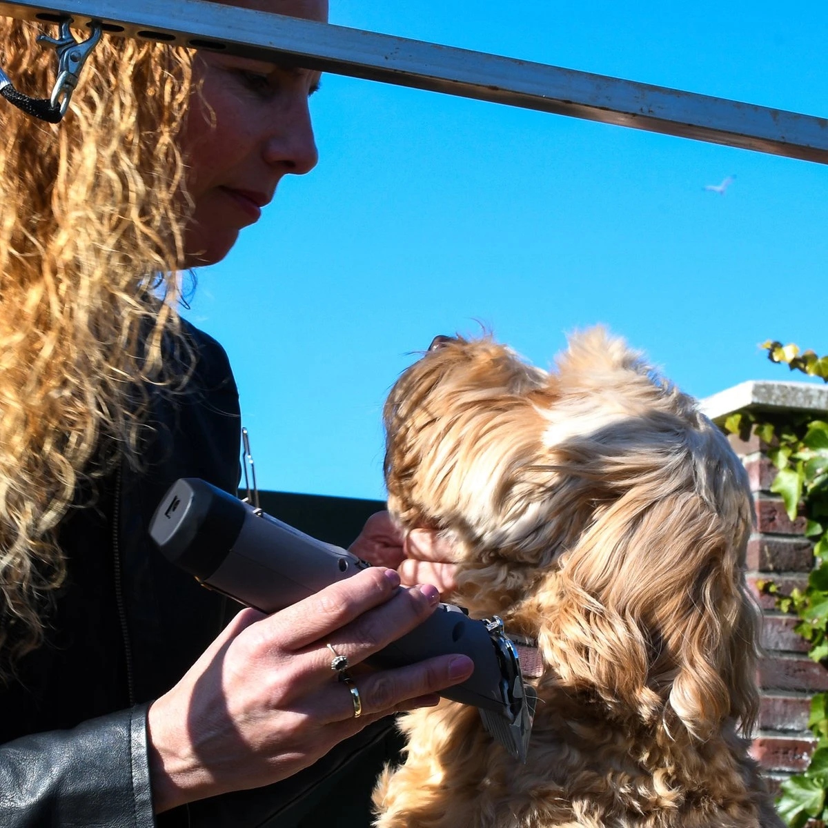 Clipr Ultimate 2-speed Hondentondeuse Op Accu - Afbeelding 4