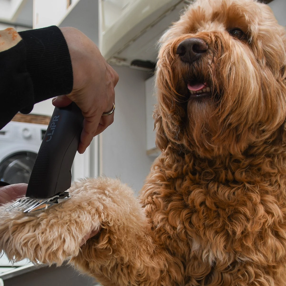 Clipr Ultimate 2-speed Hondentondeuse Op Accu - Afbeelding 5