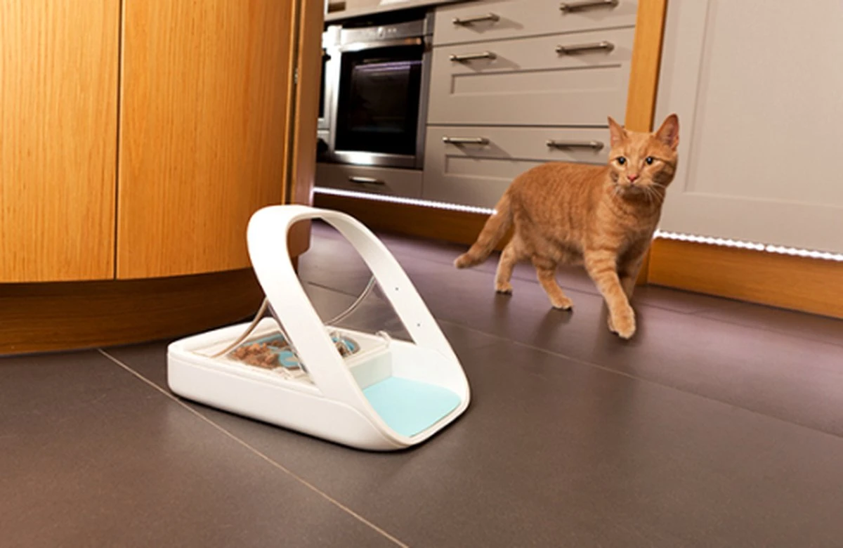 Surefeed Microchip Pet Feeder - Voerbak - 30 X 23 X 22 Cm - Afbeelding 6