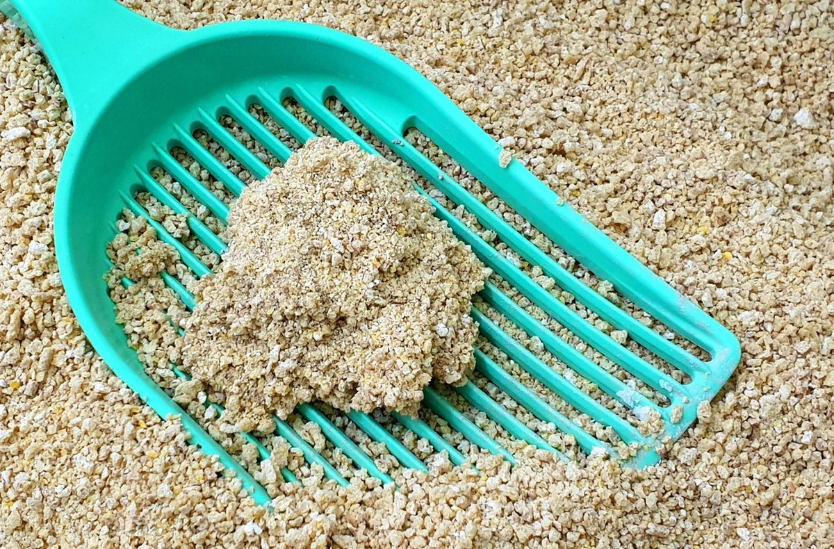 Merkloos GrainCat Composteerbare Kattenbakvulling Klontvormend 24L - Afbeelding 2