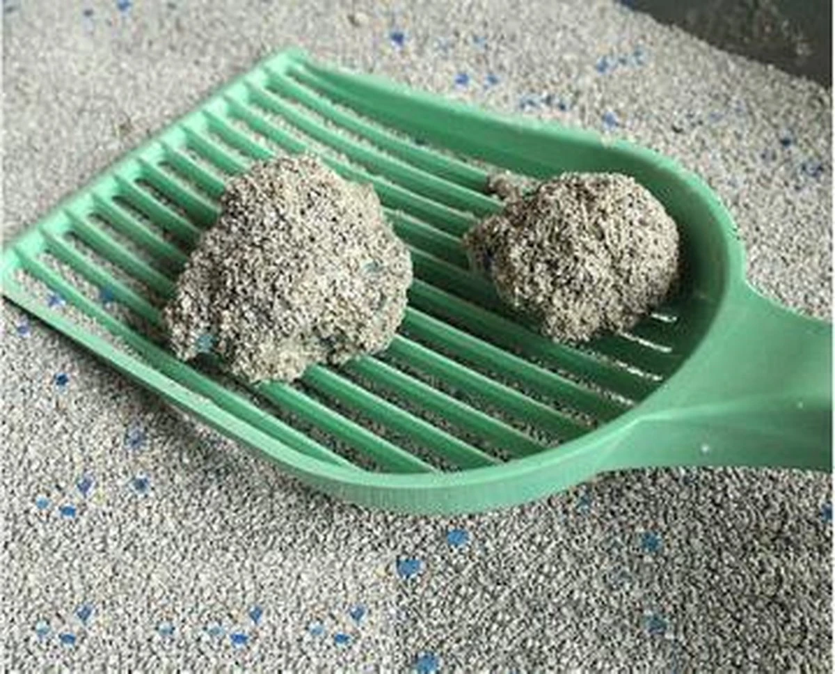 Merkloos Pet-Earth Golden Grey Master - Kattenbakvulling - Perfecte Klontvorming - 2 X 14 Kg - Afbeelding 3