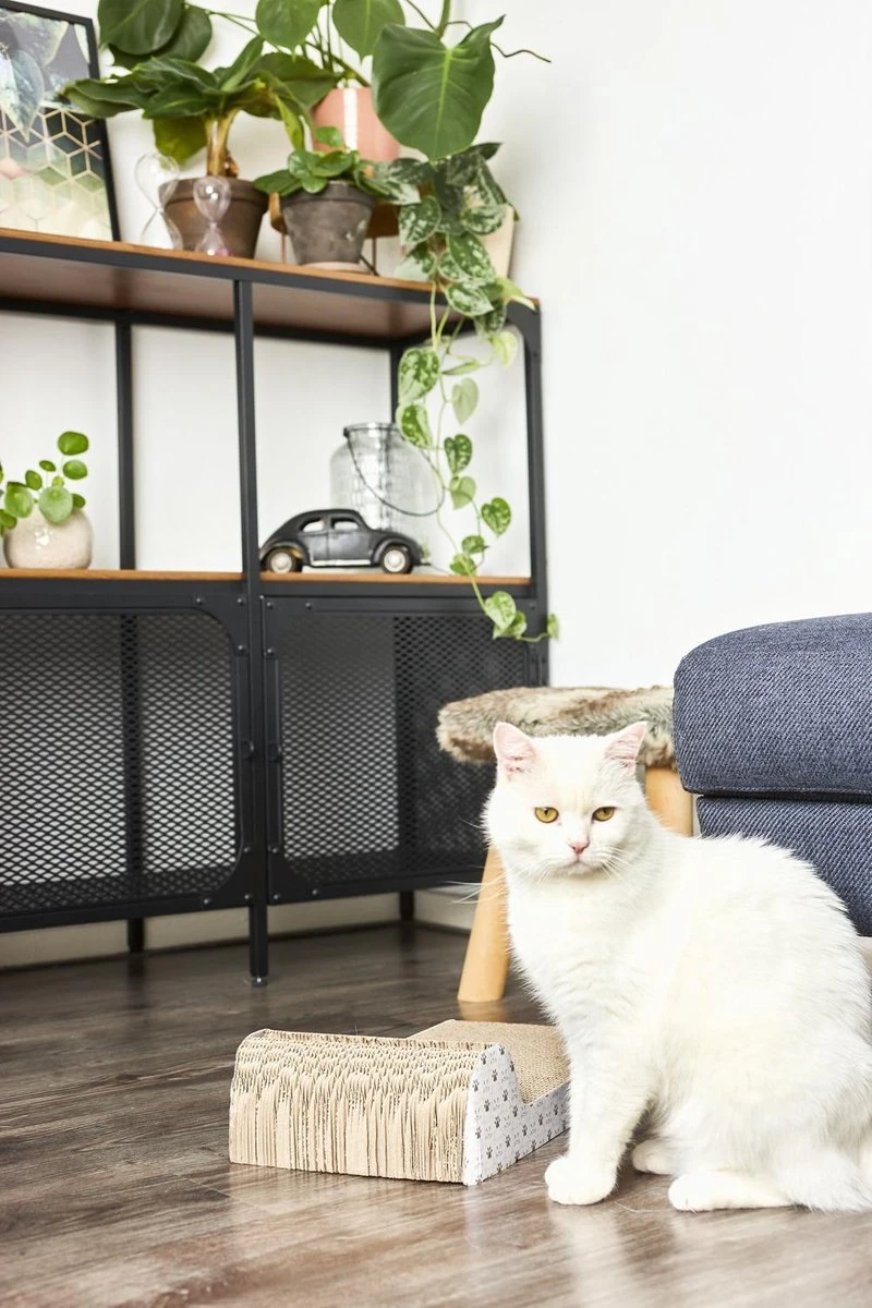 Adori Krabplank Met Spel - Krabpaal - 45x25x11 Cm - Afbeelding 2